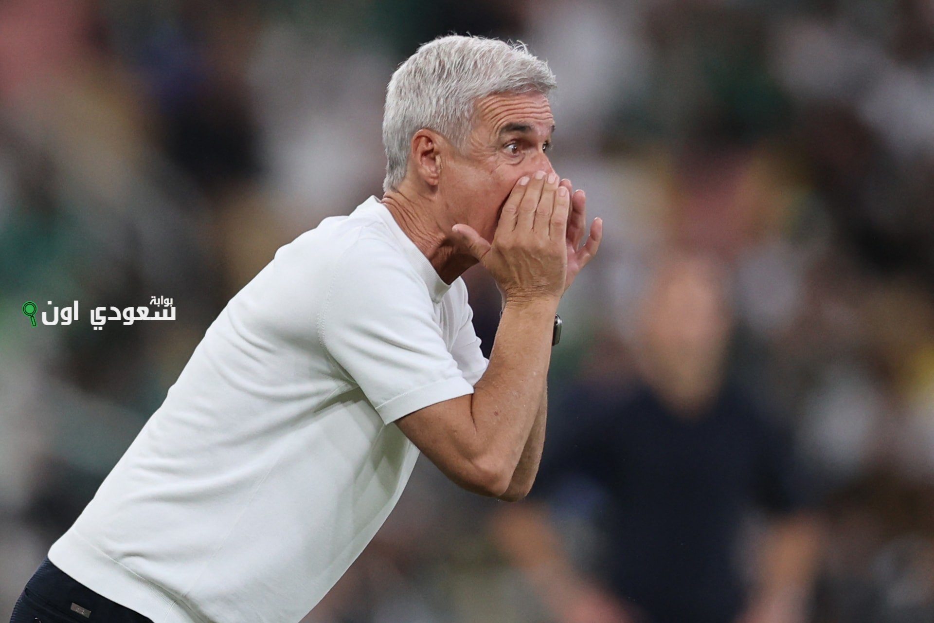  كاسترو لا يزال يتقاضى راتبه من النصر رغم إقالته