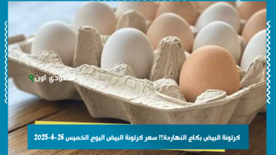 كرتونة البيض بكام النهاردة؟! سعر كرتونة البيض اليوم الخميس 26-6-2025