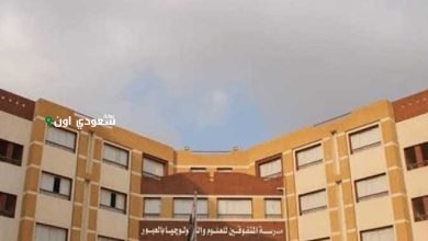 كل الي محتاج تعرفه عن مدارس ستيم.. الرسوم والشروط والكليات المتاحة بعد الدراسة