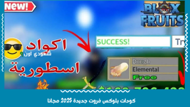 كودات بلوكس فروت جديدة 2025 مجانا