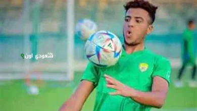 اللاعب أحمد ربيع