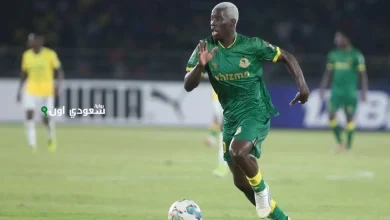 ستيفان عزيز كي