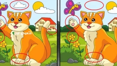 لو عرفت تطلع الحيوان الي مستخبي في الصورة دي