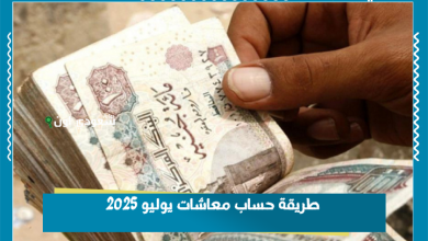 طريقة حساب معاشات يوليو 2025