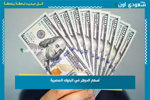 أسعار الدولار في البنوك المصرية