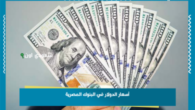 أسعار الدولار في البنوك المصرية