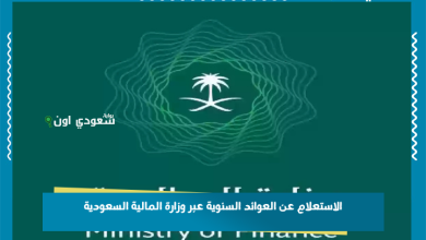 الاستعلام عن العوائد السنوية عبر وزارة المالية السعودية