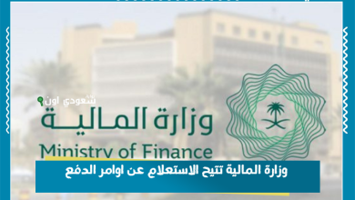 وزارة المالية تتيح الاستعلام عن اوامر الدفع