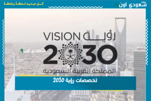 تخصصات رؤية 2030