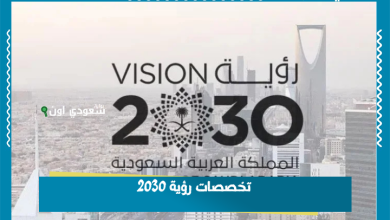 تخصصات رؤية 2030