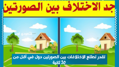 تقدر تطلع الاختلافات بين الصورتين دول في أقل من 30 ثانية