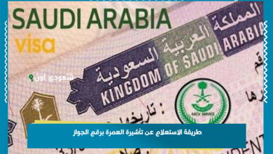 طريقة الاستعلام عن تأشيرة العمرة برقم الجواز