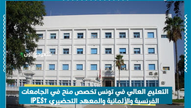 التعليم العالي في تونس تخصص منح في الجامعات الفرنسية والألمانية والمعهد التحضيري IPESt