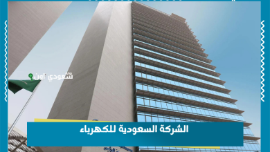 الشركة السعودية للكهرباء