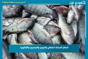 اسعار السمك البلطي والبوري والجمبري والكابوريا