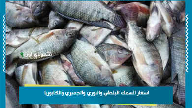 اسعار السمك البلطي والبوري والجمبري والكابوريا