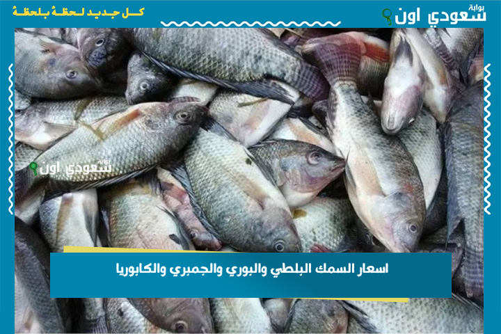 تحديث سعر اليوم للمستهلك 26-6-2025 اسعار السمك البلطي والبوري والجمبري والكابوريا اليوم الخميس