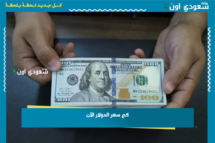بكام في السوق السوداء.. سعر الدولار اليوم مقابل الجنيه المصري في البنوك والموازية 24/6/2025 لحظة بلحظة