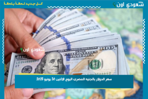 سعر الدولار بالجنيه المصرى اليوم الاثنين 30 يونيو 2025