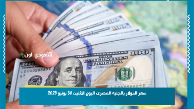 سعر الدولار بالجنيه المصرى اليوم الاثنين 30 يونيو 2025