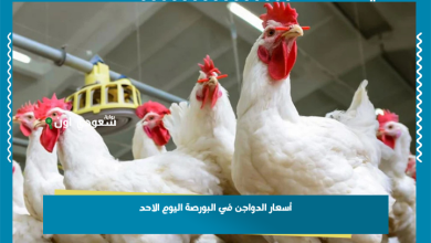 أسعار الدواجن في البورصة اليوم الاحد