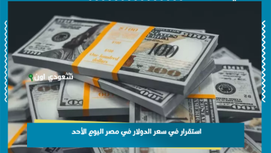 استقرار في سعر الدولار في مصر اليوم الأحد