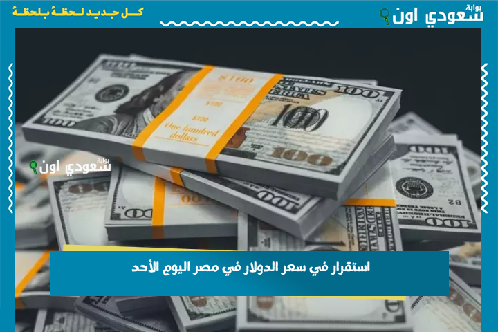 استقرار في سعر الدولار في مصر اليوم الأحد 22 يونيو وسط ترقب قرارات البنك المركزي