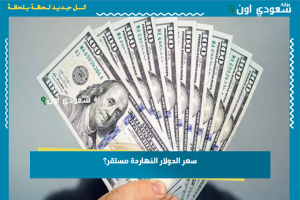 سعر الدولار النهاردة مستقر؟