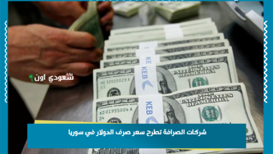 شركات الصرافة تطرح سعر صرف الدولار في سوريا