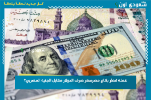 سعر صرف الدولار مقابل الجنيه المصري