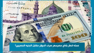 سعر صرف الدولار مقابل الجنيه المصري