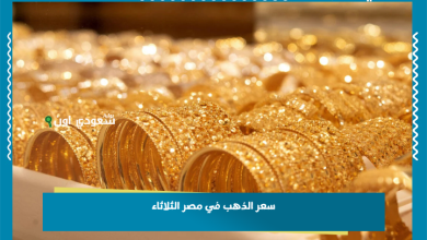 سعر الذهب في مصر الثلاثاء
