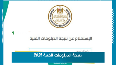 نتيجة الدبلومات الفنية 2025