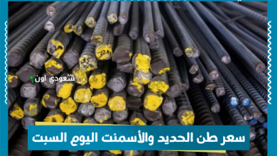 سعر طن الحديد والأسمنت اليوم السبت