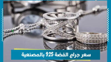 سعر جرام الفضة 925 بالمصنعية