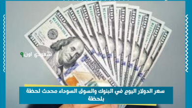 سعر الدولار اليوم في البنوك والسوق السوداء محدث لحظة بلحظة