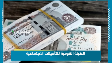 الهيئة القومية للتأمينات الاجتماعية