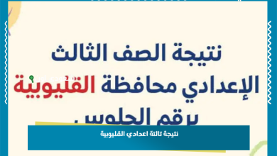 نتيجة تالتة اعدادي القليوبية