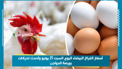 أسعار الفراخ البيضاء اليوم السبت 21 يونيو وأحدث تحركات بورصة الدواجن