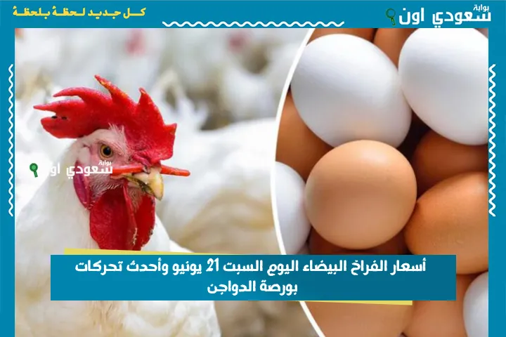 أسعار الفراخ البيضاء اليوم السبت 21 يونيو وأحدث تحركات بورصة الدواجن