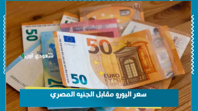 سعر اليورو مقابل الجنيه المصري