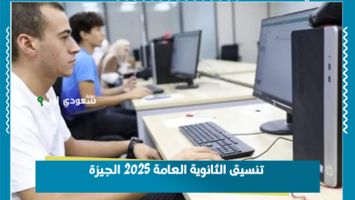 تنسيق الثانوية العامة 2025 الجيزة