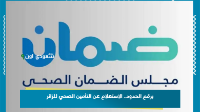 برقم الحدود.. الاستعلام عن التأمين الصحي للزائر