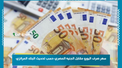 سعر صرف اليورو مقابل الجنيه المصري حسب تحديث البنك المركزي