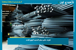 تعرف على سعر الحديد اليوم الاحد