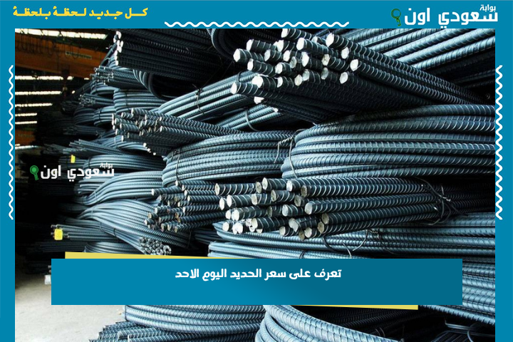حديد عز وصل كام؟ تعرف على سعر الحديد اليوم الاحد 29 يونيو 2025