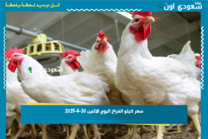 سعر كيلو الفراخ اليوم الاثنين 30-6-2025