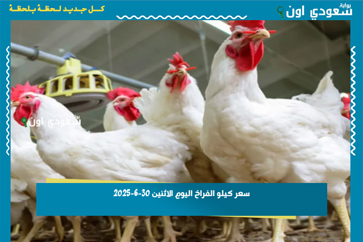 سعر كيلو الفراخ اليوم الاثنين 30-6-2025 بورصة الدواجن اليوم أسعار الفراخ البيضاء والبلدي والساسو