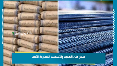 سعر طن الحديد والأسمنت النهاردة الأحد