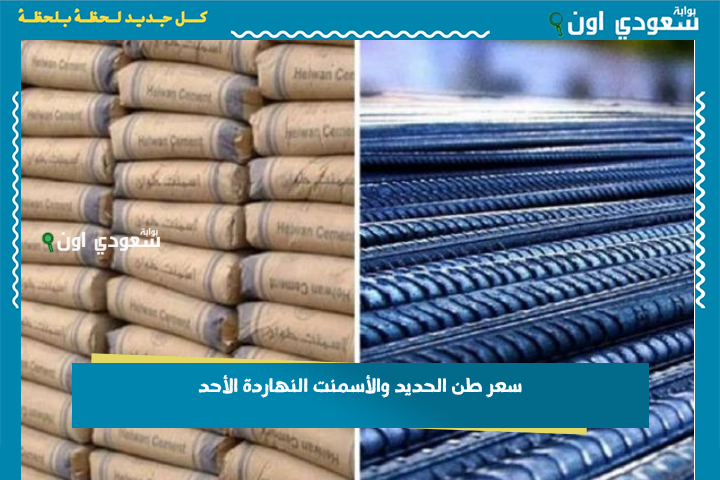 بعد توقعات حركة الأسعار.. سعر طن الحديد والأسمنت النهاردة الأحد 22 يونيو 2025